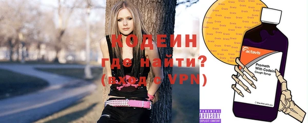 шишки Белоозёрский