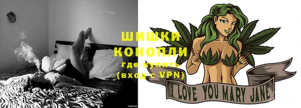 шишки Белоозёрский