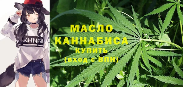 шишки Белоозёрский