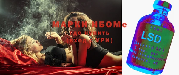 шишки Белоозёрский