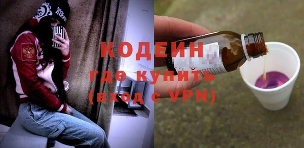шишки Белоозёрский