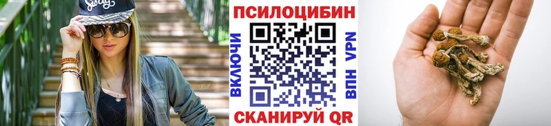 МЕГА рабочий сайт Видное Псилоцибиновые грибы ЛСД